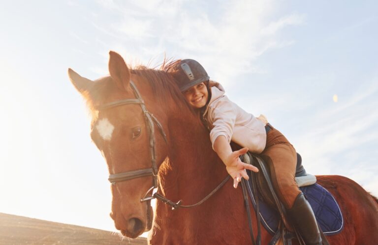 Why Take the Risk on Equine Insurance