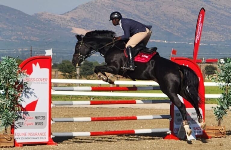 Equine Insurance Can Protect Your Passion