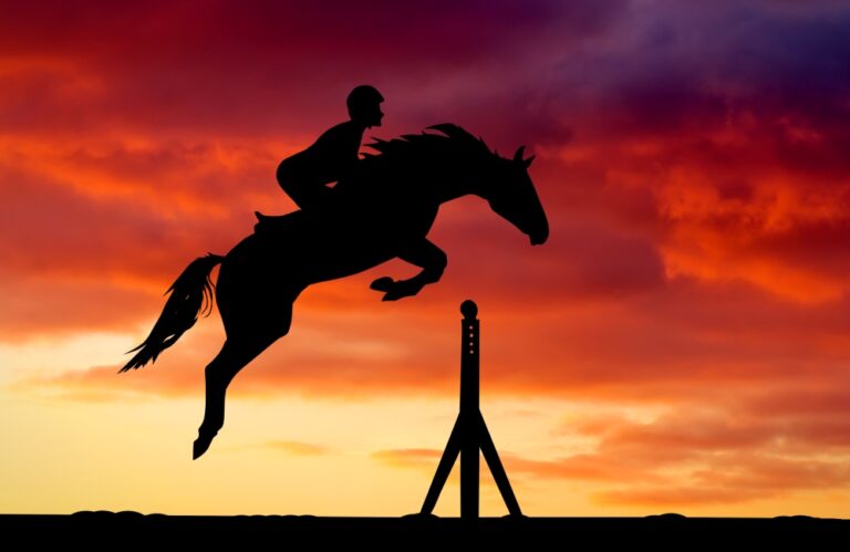Guide to Equine Insurance