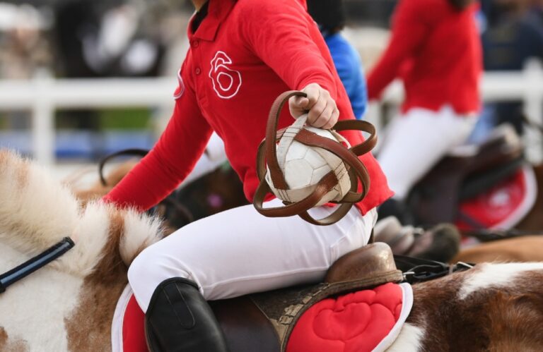 Equine Insurance Provides Essential Protection