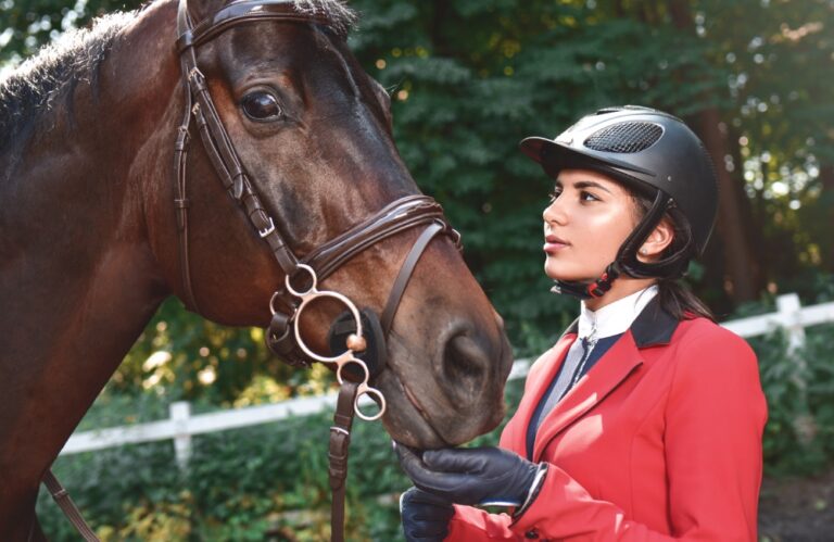 Why Equine Insurance is Essential