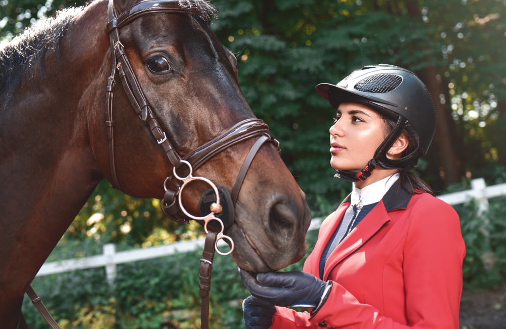 Why Equine Insurance is Essential