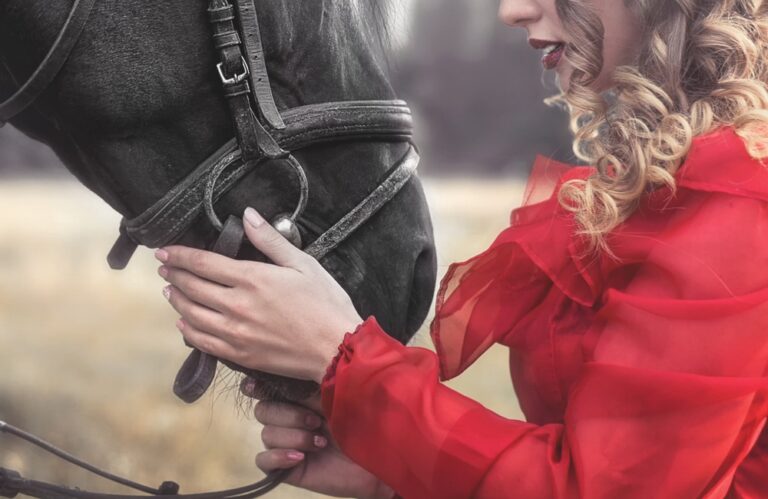 Equine Insurance in South Africa