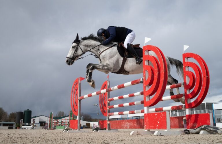 Risk and Rewards of Equine Insurance