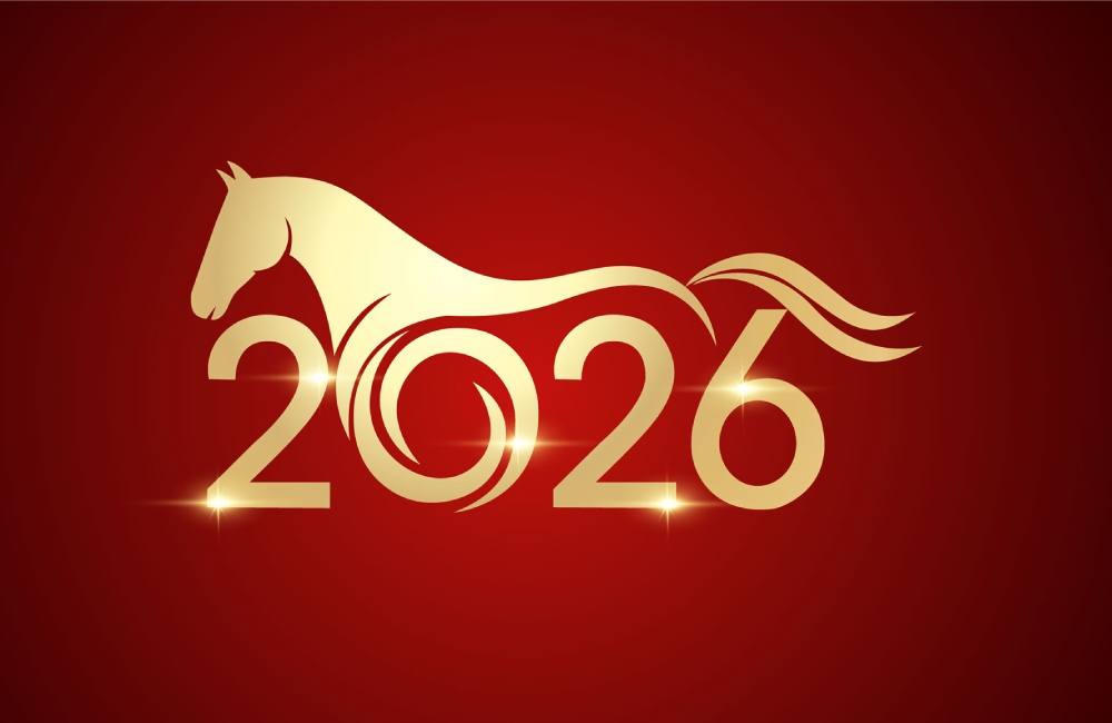 Equine Insurance in South Africa 2026