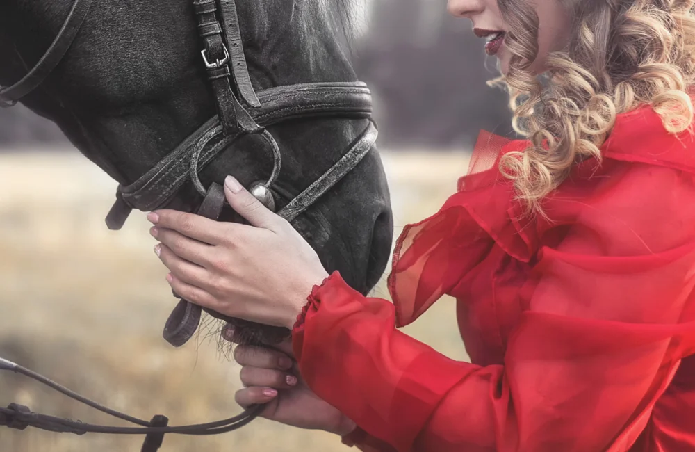 South African sport horse covered by Equi-Cover equine insurance